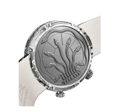 Last day 50% Off Harry Potter™ Inspired Mechanical Luxury Watch