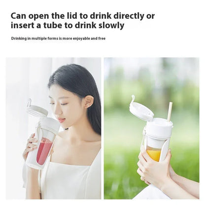 Electric Fruit Juicer