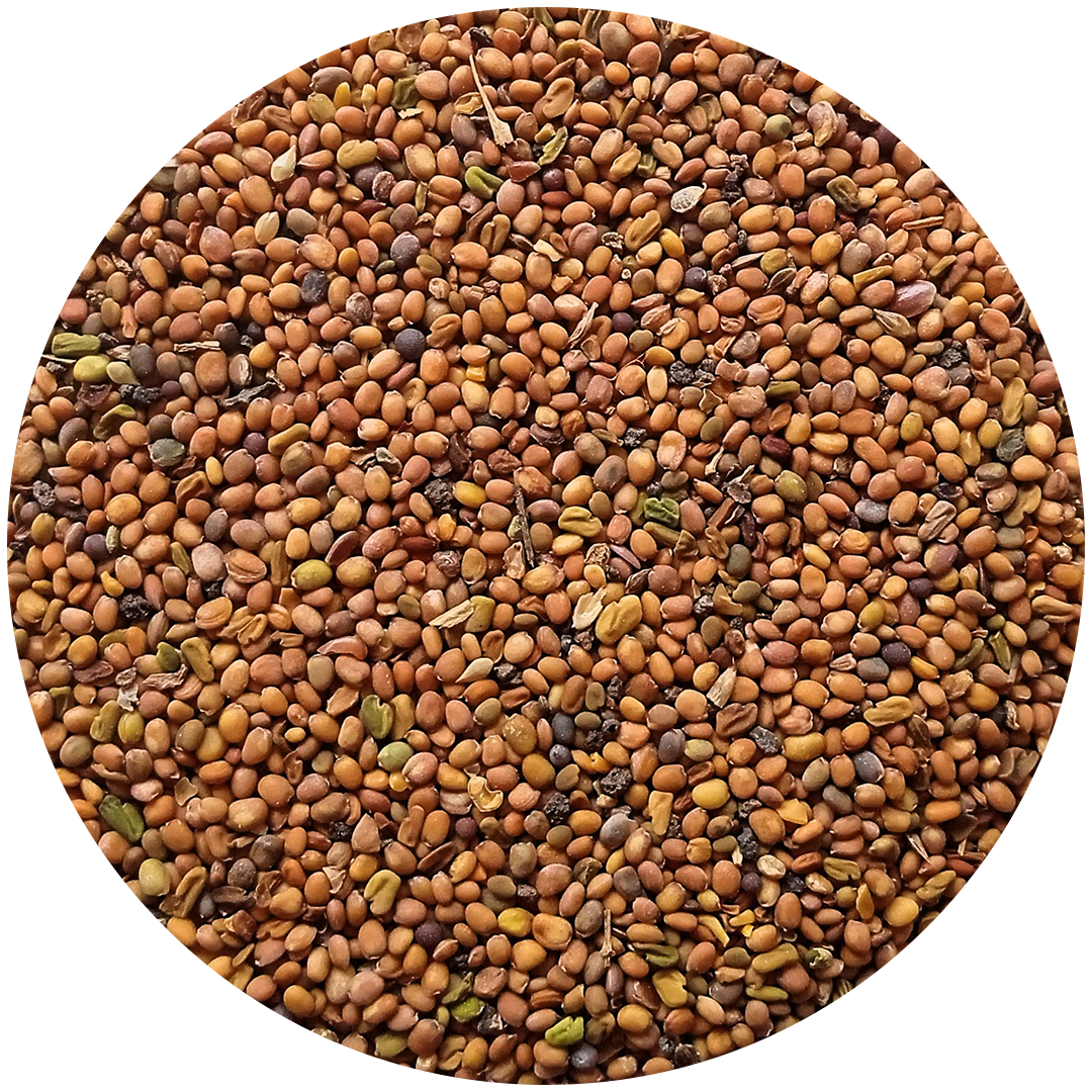 Last day 61% off Men Strength oil