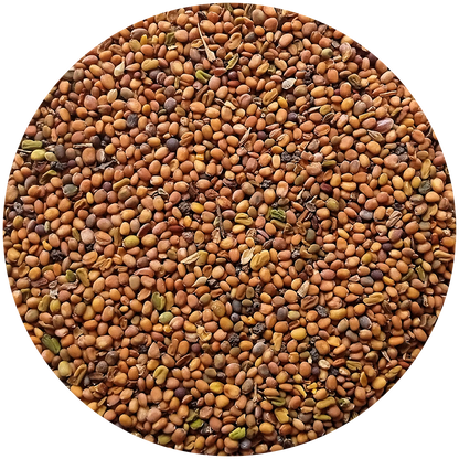 Last day 61% off Men Strength oil